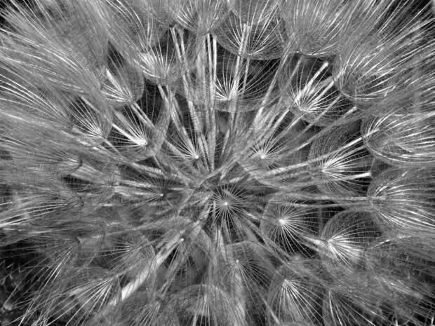 «Я — почти владелица половины квартиры. Кто меня отсюда выгонит?»