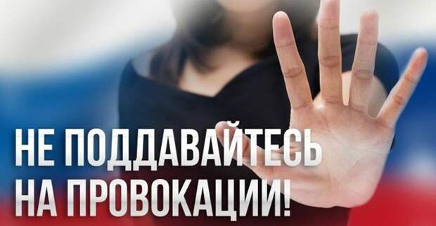 бесплатные картинки из свободных источников