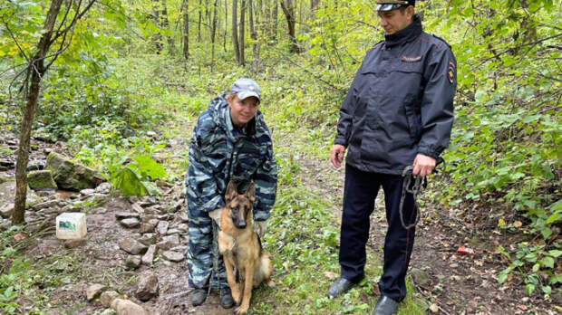 Брошенную в лесу собаку спасли полицейские в Челябинской области