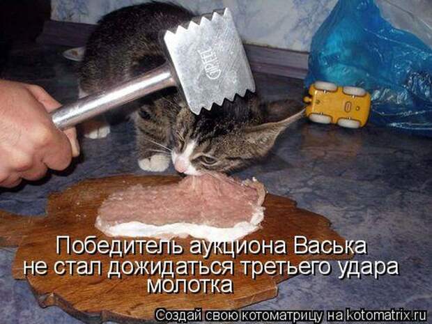 Забавные котоматрицы