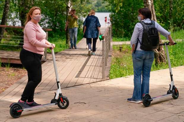 Прогулки.png