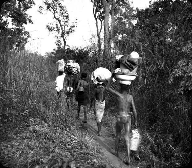 Африканцы после отдыха в условиях естественной природной среды. Африканцы после отдыха в условиях естественной природной среды.