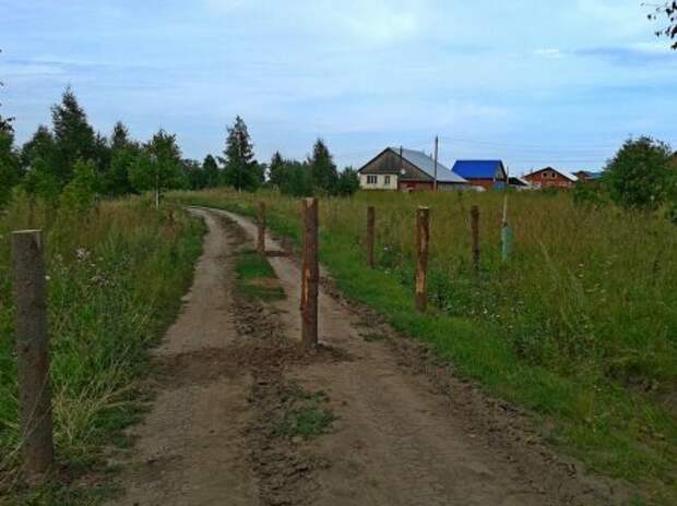 Улыбательные картинки, праздничное настроение.