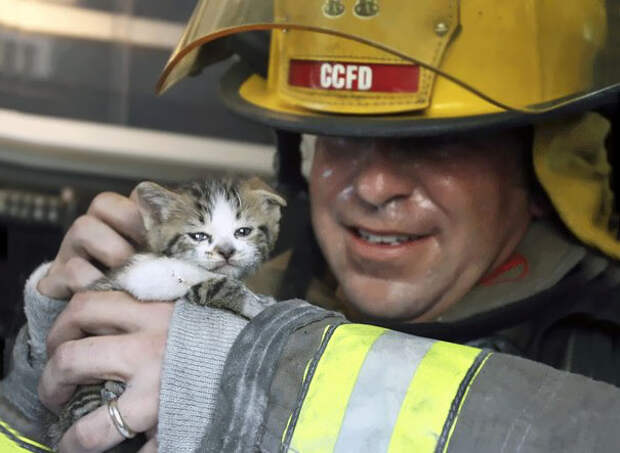 firefighters-rescuing-animals-saving-pets-5-5729b683d13e7__605