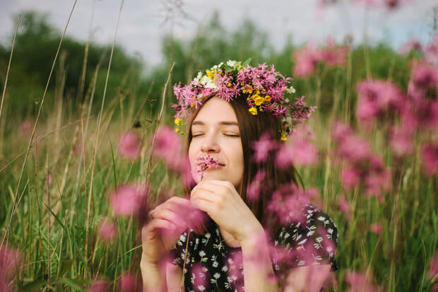 Приметы в июле на каждый день: на погоду и урожай, народный календарь