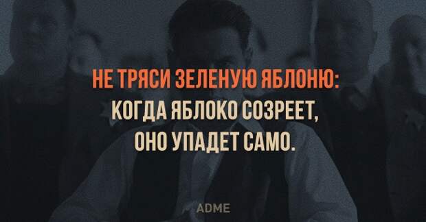 НЕ ТРЯСИ ЗЕЛЕНУЮ ЯБЛПНЮ КПГДА ЯБЛОКИ ВНЗРЕЕТ 0Н0 УПАДЕТ САМИ