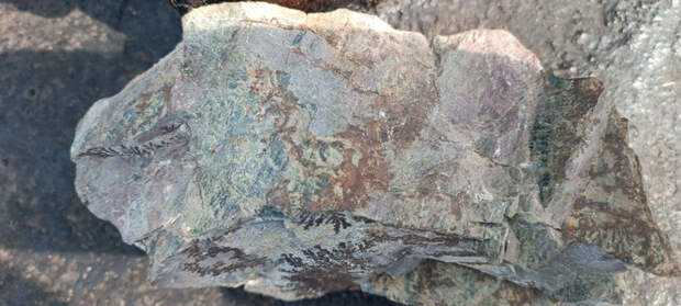 Не подскажете происхождение рисунка на данном камне?