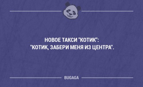 Смешные фразы и мысли в картинках с надписями. Часть 67 (20 шт)