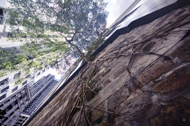 Vertical Horizon #76 <i>(page 93)</i>