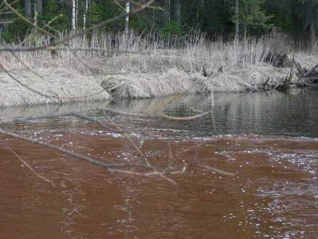 Погода в красной реке