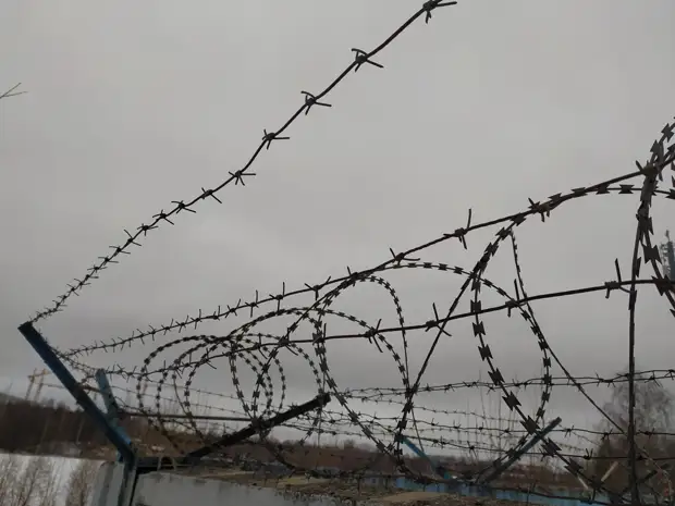 В Новочеркасске сотрудники СИЗО пытались передать мобильники в паре кроссовок