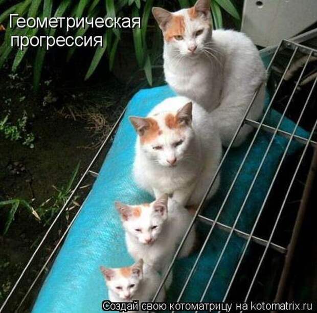 Мысли вслух :)