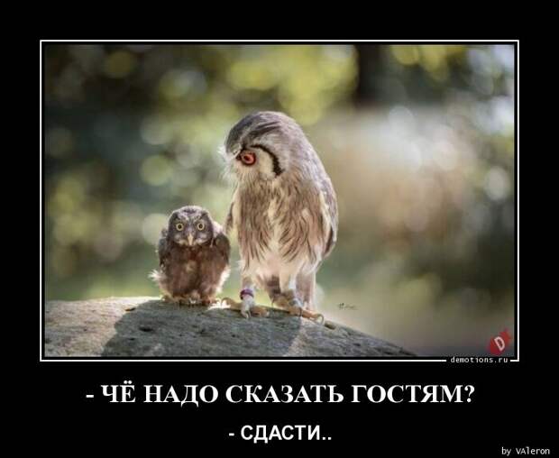 Demotions.ru - ÐÐÐÐÐ¢ÐÐÐÐ¢ÐÐ Ð«. Â» Ð¡ÑÑÐ°Ð½Ð¸ÑÐ° 1134