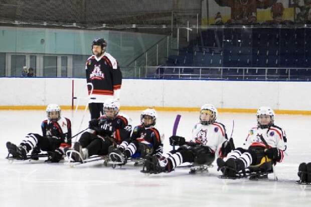 В областном центре состоится турнир по следж-хоккею "Кубок тамбовского волка"
