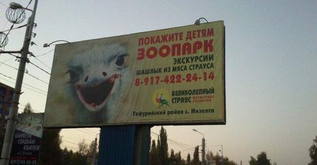 Продавцы-приколисты. Весёлые картинки