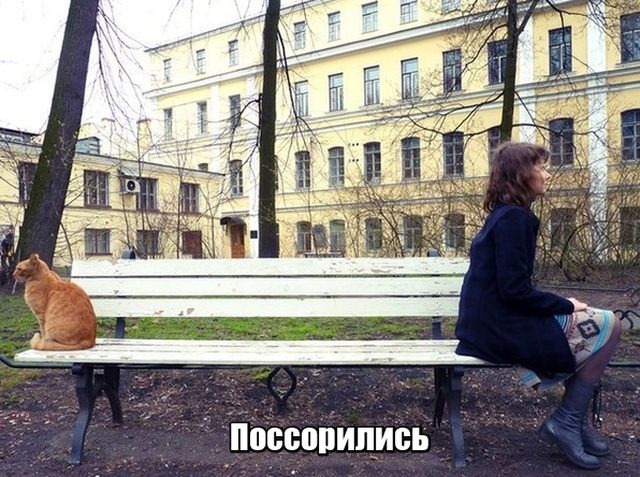 Смехотерапия дня. Забейте на всех и наслаждайтесь!