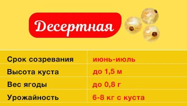 Смородина Десертная