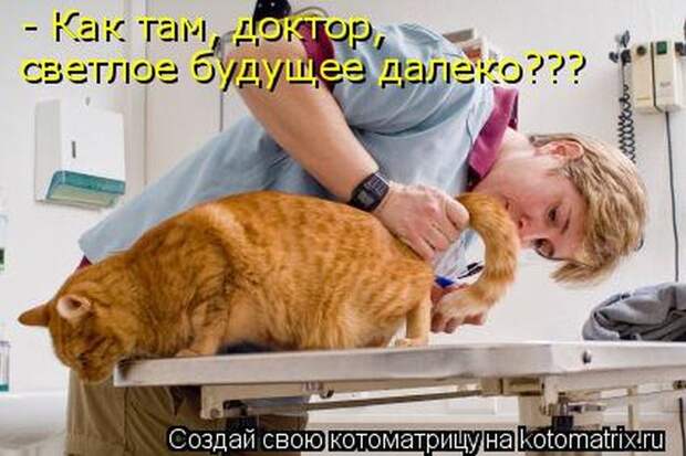 Забавные котоматрицы