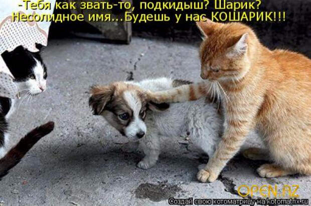 1269118928_km_13_10 (500x333, 175Kb)