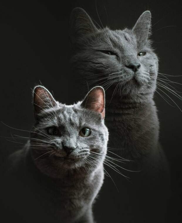 всякости 