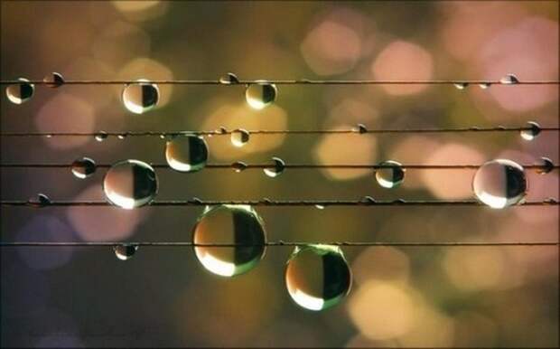 Подборка интересных фактов Подборка интересных фактов