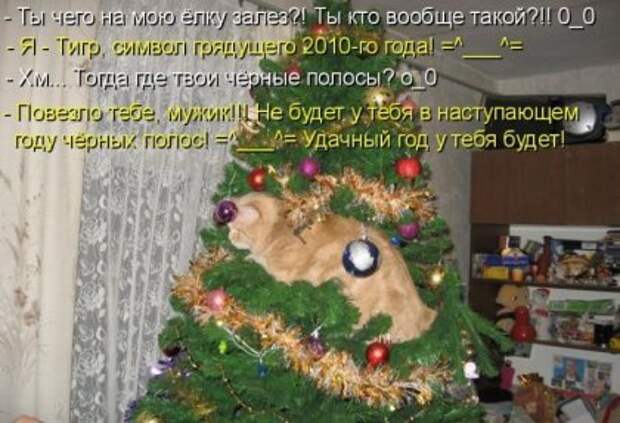 Котоматрицы: Мысли вслух