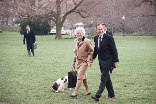 Милли Буш. Президентская собачка, у которой есть своя автобиография