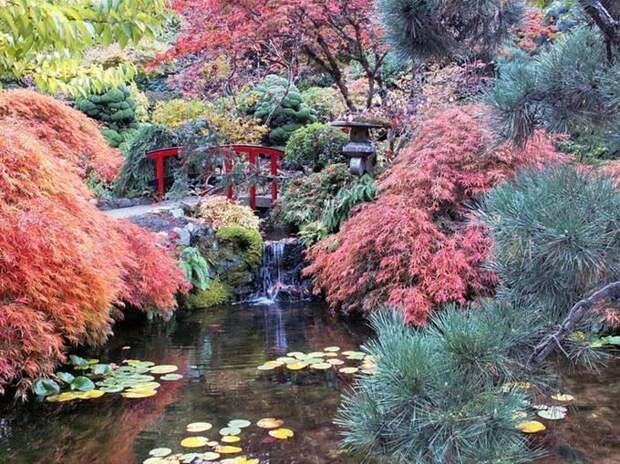 Место чарующее своей красотой и живой природой - The Butchart Gardens. 