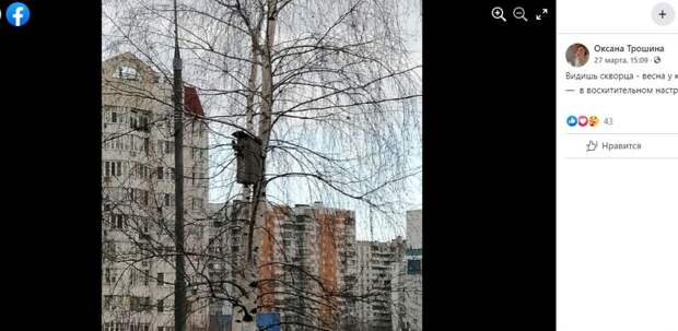 Фото дня: символ весны