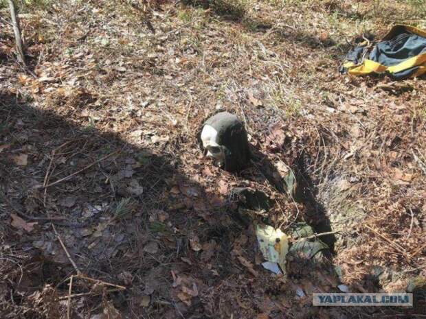 В лесу нашли пропавшего 2 года назад туриста, прикованного к дереву наручниками