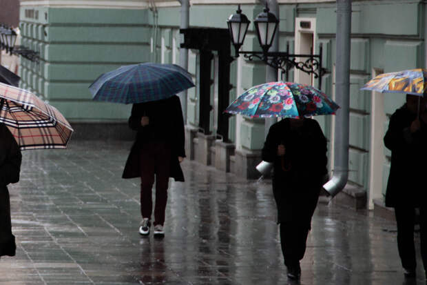 Метеоролог Леус: Москвичей ожидают мокрый снег и ледяной дождь