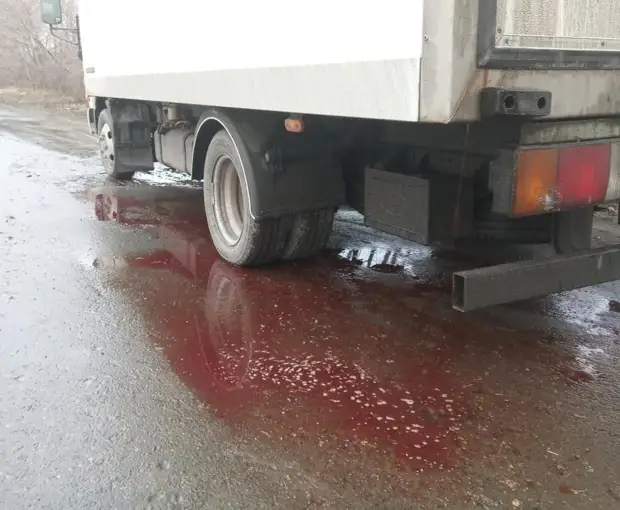 В Кургане полиция вычислила нарушителя по кровавому следу на асфальте