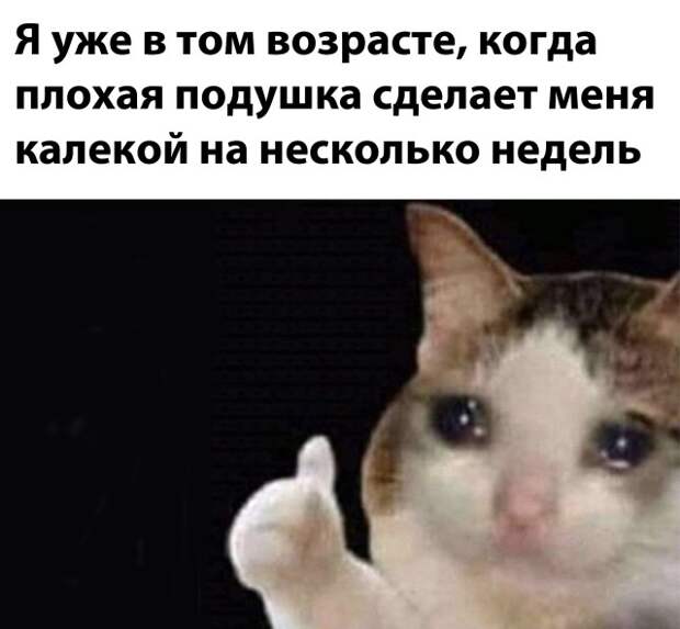 Подборка интересных и веселых картинок Подборка интересных и веселых картинок