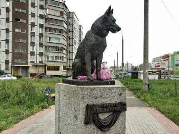 Памятник преданности! памятник, преданность, собака