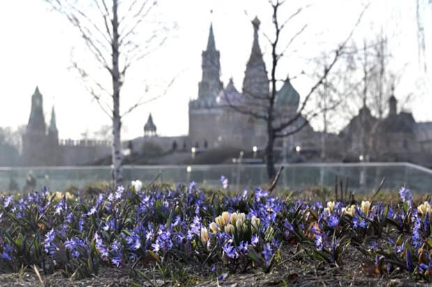 Синоптик Позднякова рассказала, какая погода ожидается в Москве на Пасху