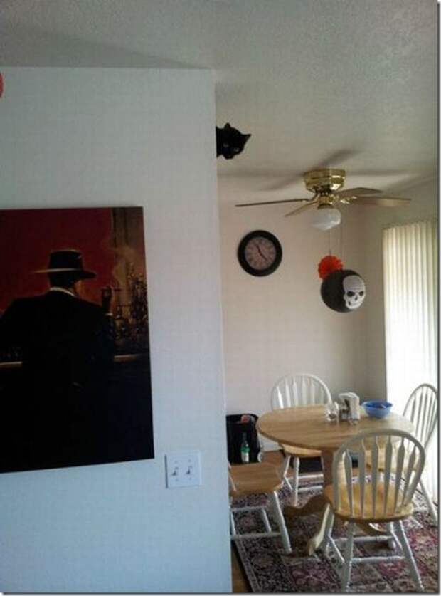 clip_image003