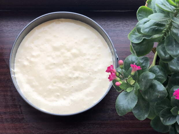 Торт Тирамису - альтернативный рецепт: ещё нежнее, ещё вкуснее