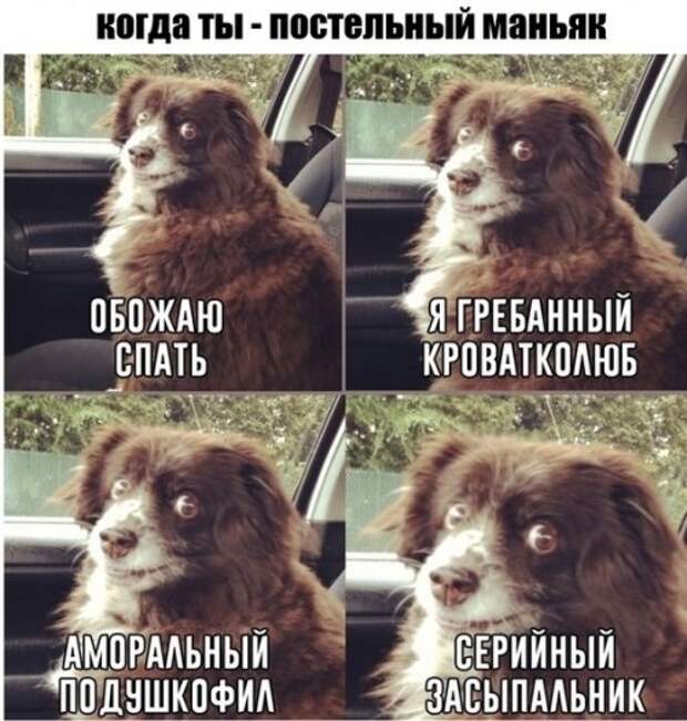 Ты можешь бесконечно долго мечтать похудеть, только какой в этом толк...