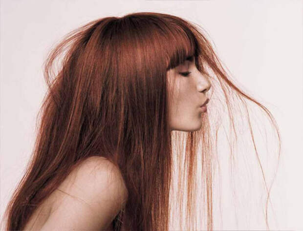 Маски для восстановления волос в домашних условиях Маски для восстановления волос в домашних условиях