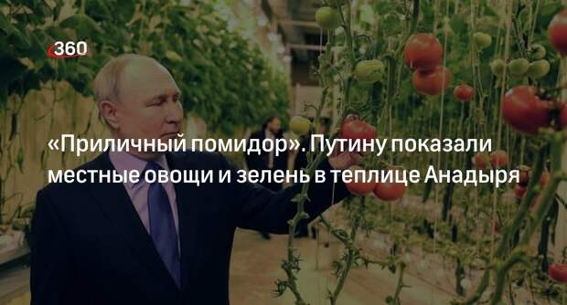 Путин посетил круглогодичный тепличный комплекс Макатровых в Анадыре