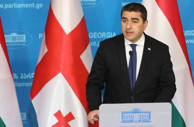 Спикер парламента Грузии подписал закон об иноагентах