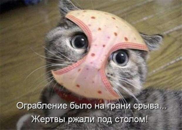 Новые фотомемы на Бугаге (22 шт)