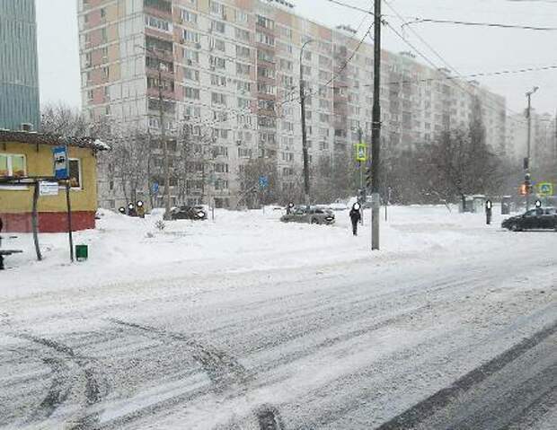 Дорожные знаки. Фото: портал «Наш город»