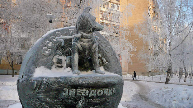Собака Звездочка