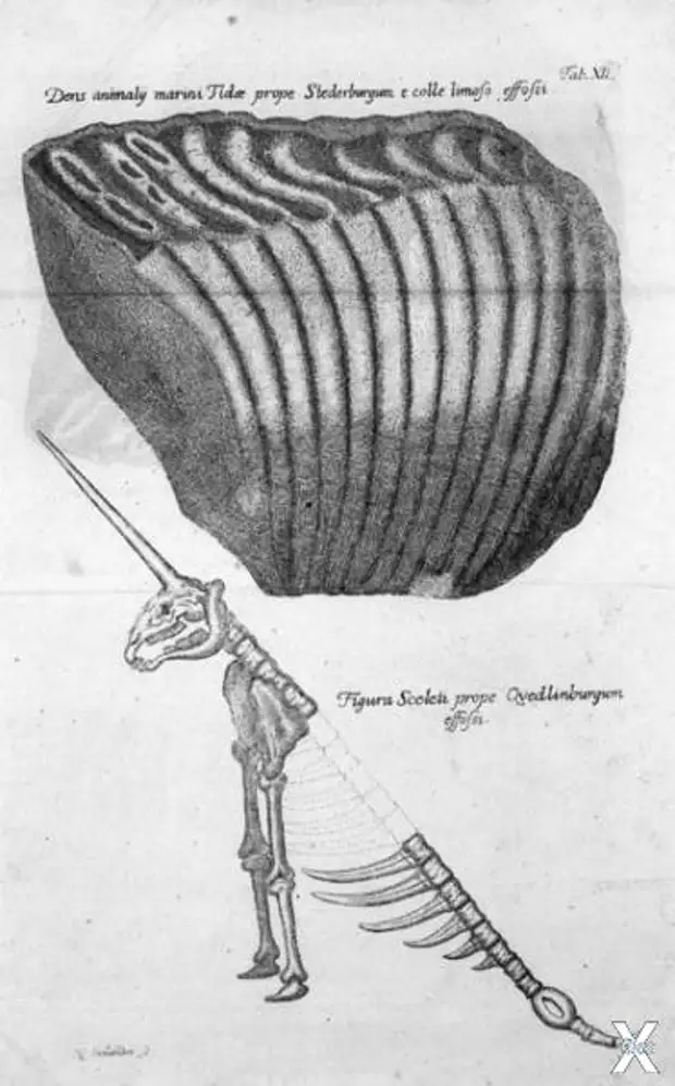 Как евреи придумали монотеизм и сделали Яхве единственным богом