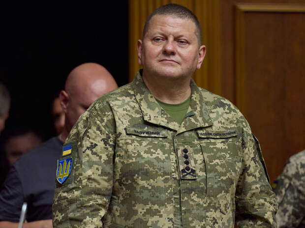 Политолог Шкурлатов проанализировал слова главкома ВСУ