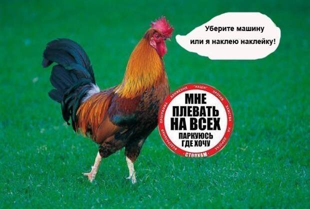 Веселые картинки про стопхам Веселые картинки про стопхам