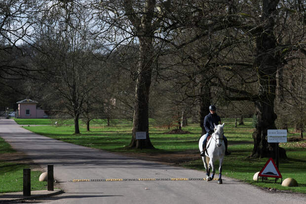 Брату короля Карла III запретили ездить верхом