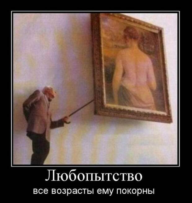 demotivatory-demotivator-smeshnye-demotivatory-demotivator-so-smyslom demotivatory-demotivator-smeshnye-demotivatory-demotivator-so-smyslom