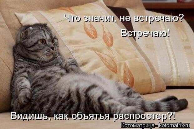 Котоматрица: Что значит, не встречаю? Встречаю! Видишь, как объятья распростер?!